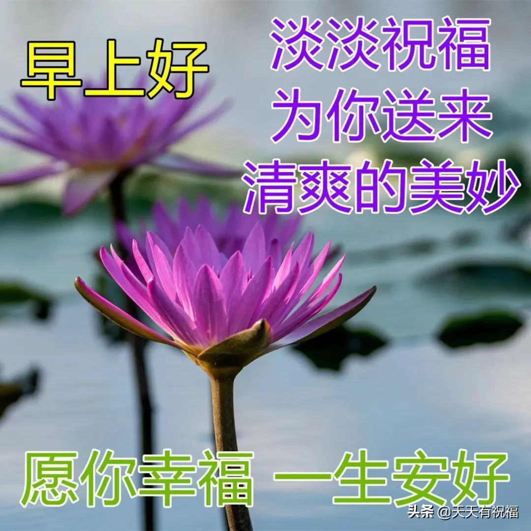 创意唯美的早上好问候祝福语图片文字,早安祝福语图片带字温馨