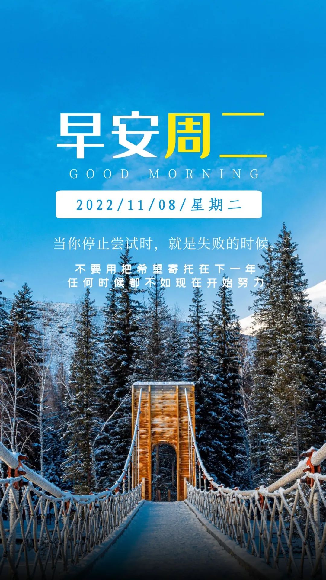 网站你懂我意思正能量晚上(网站你懂我意思正能量晚