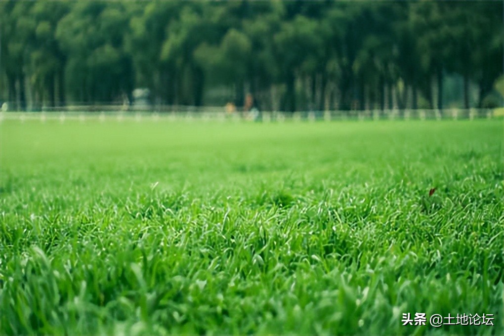 夏至和立夏是什么意思，立夏和夏至的来历和寓意