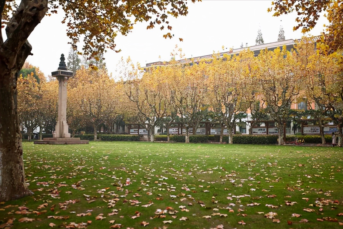 南京大学沦为华东五校倒数第一，守门员实锤，或将被同济大学取代