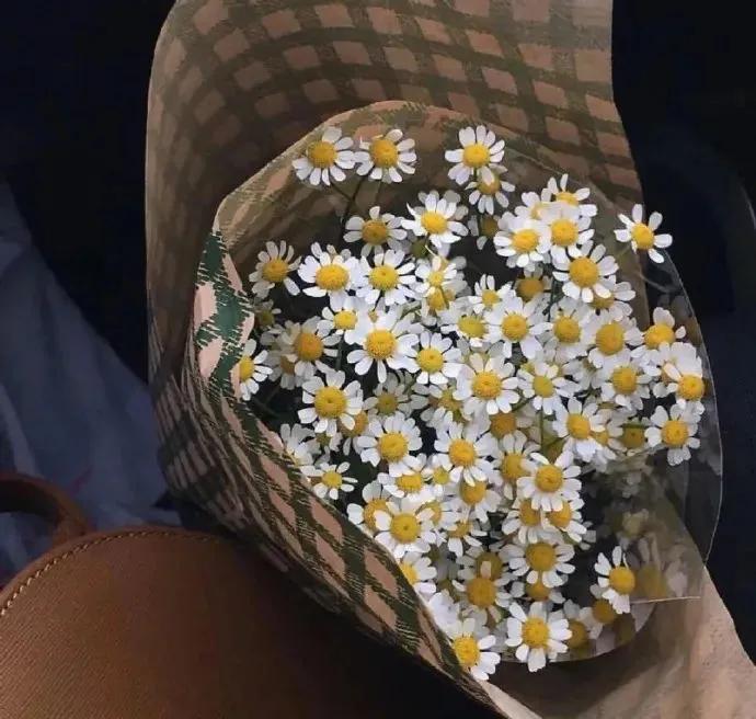 关于春分的朋友圈 / 说说文案