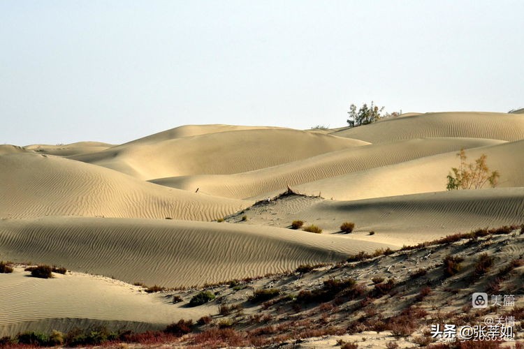 库车哪里有红灯区(“西出阳关”日记)