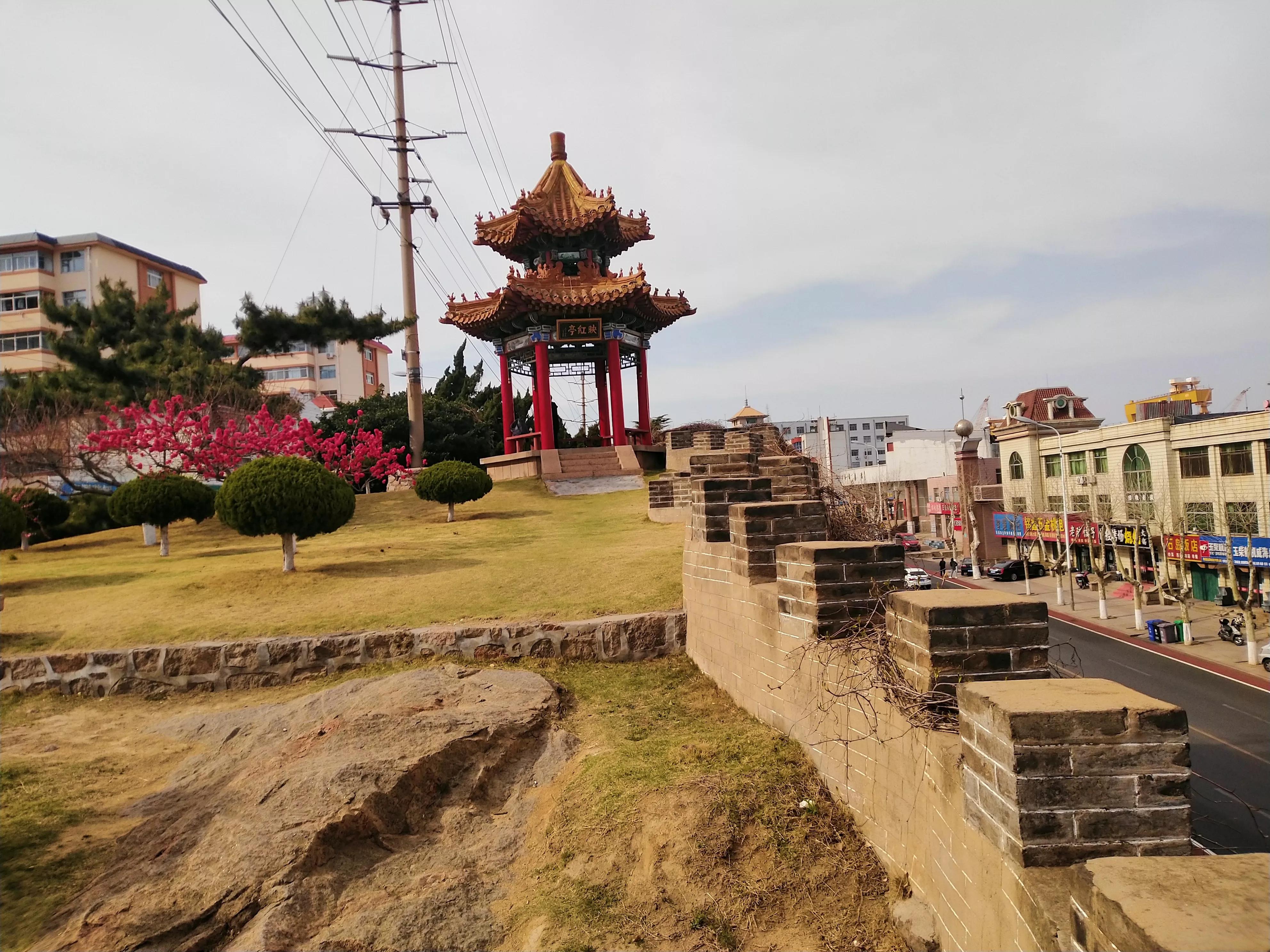 建议提高法律职业资格通过率与废除律师实习的规定