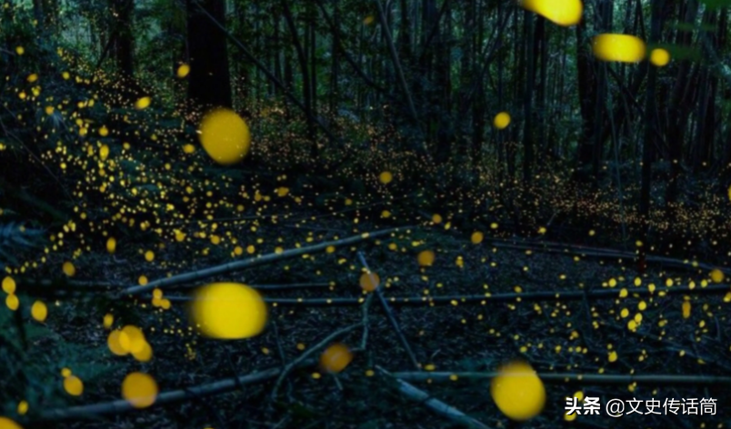 天之骄子的坠落之路：曾经的高考状元，流浪12年，以捡垃圾为生