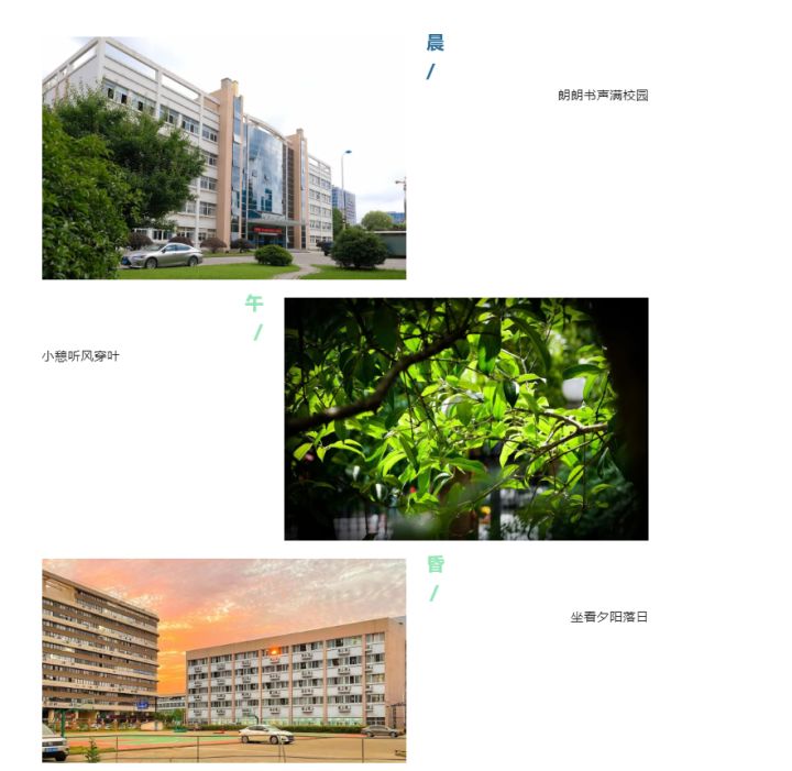 浙江新高考政策該如何應對