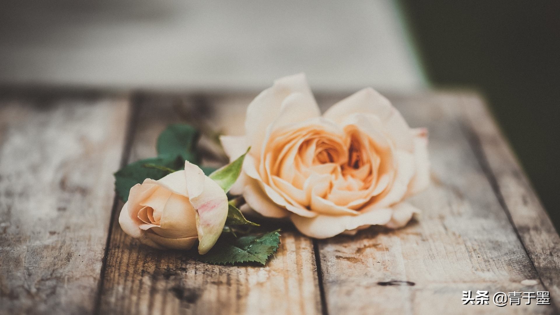 沉淀自己的心灵名言壁纸,沉淀自己的心灵名言