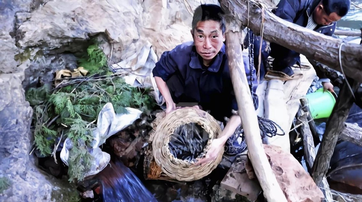 2012年，湖北山洞每逢清明便“吐鱼”达上千斤，专家告知不能吃