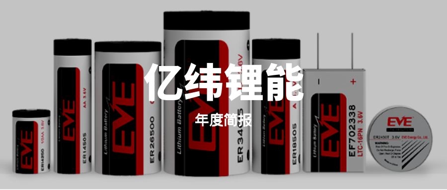 年度简报｜亿纬锂能2021年的变化是什么？