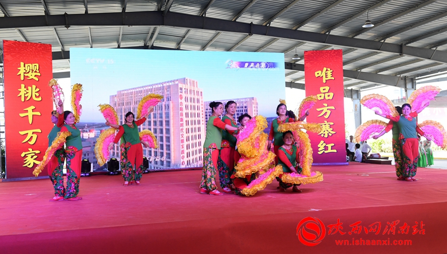櫻桃千萬家 唯品方寨紅 合陽第五屆“方寨紅”櫻桃推介會舉辦（高清組圖）