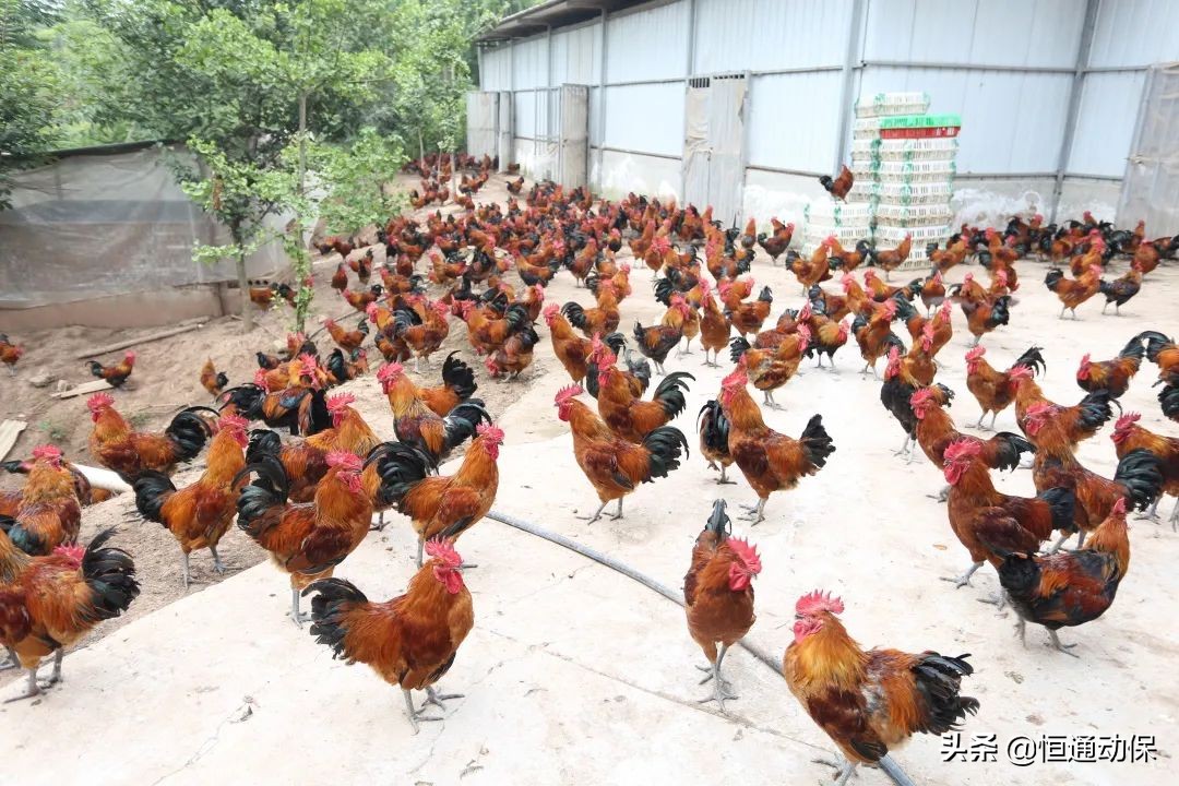 �Ĵ���ͨ�����Ÿ������커��ҵ�����罻��ѧϰ