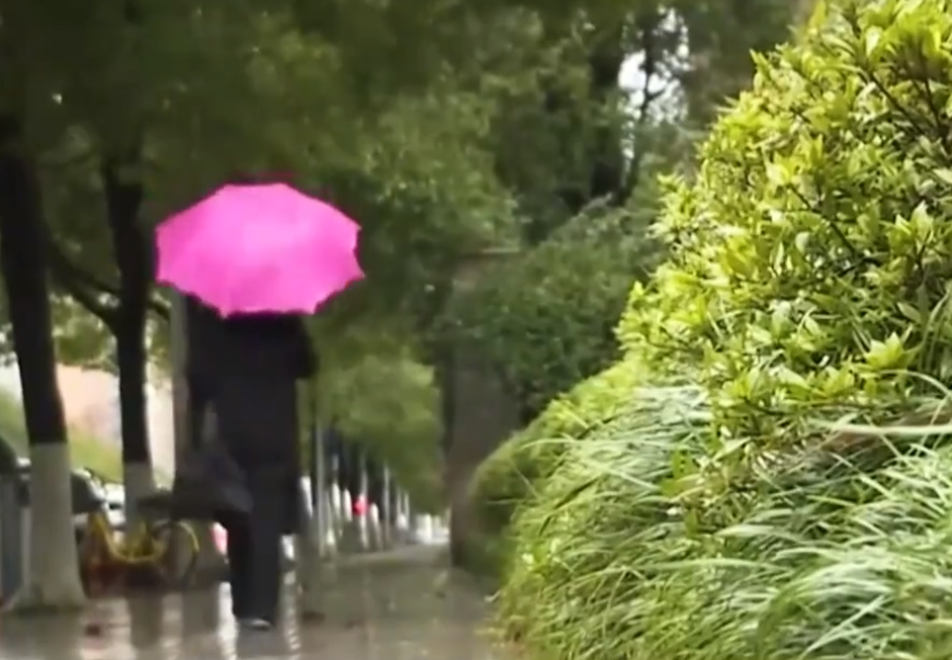 一副好牌打得稀烂(60岁富婆沉迷打牌，每周输上百万败光上亿家产，一副好牌打得稀烂)