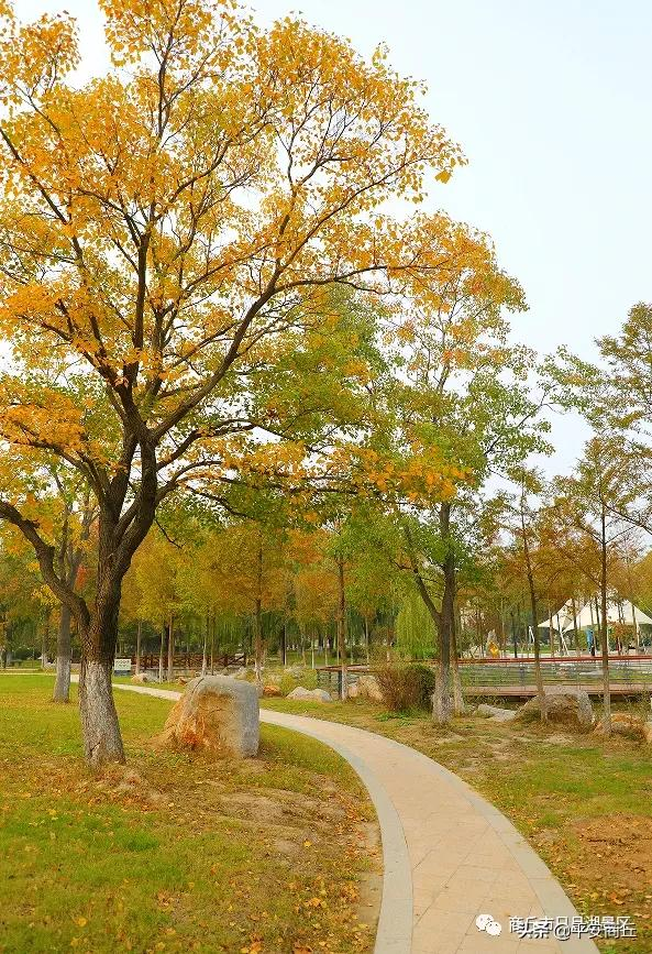 【商丘美景】红橙黄绿,赋予日月湖无限美好