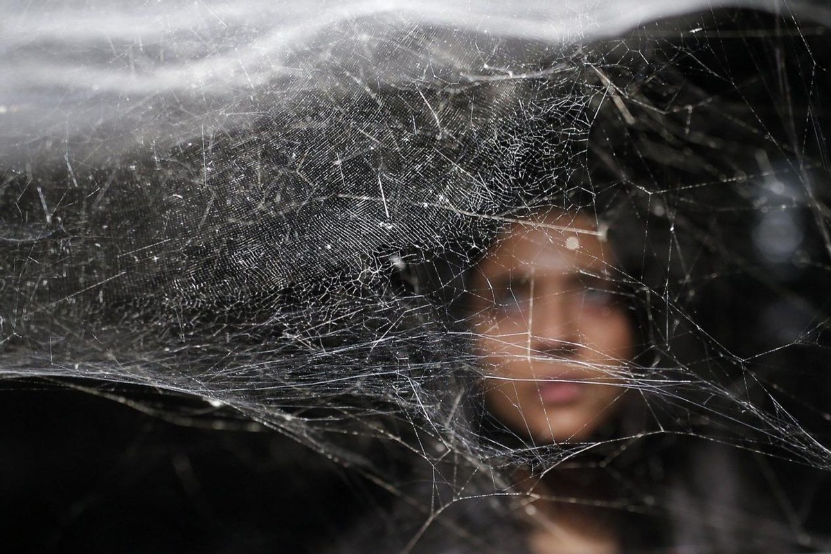 蜘蛛是从哪里来的(蜘蛛一次能吐出多少蛛丝,会不会丝尽蛛亡?