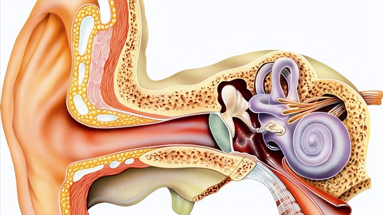 二,耳道发痒,当心这4种疾病!