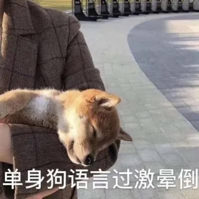 《活该你被赞》：有趣的灵魂才发那些搞笑文案