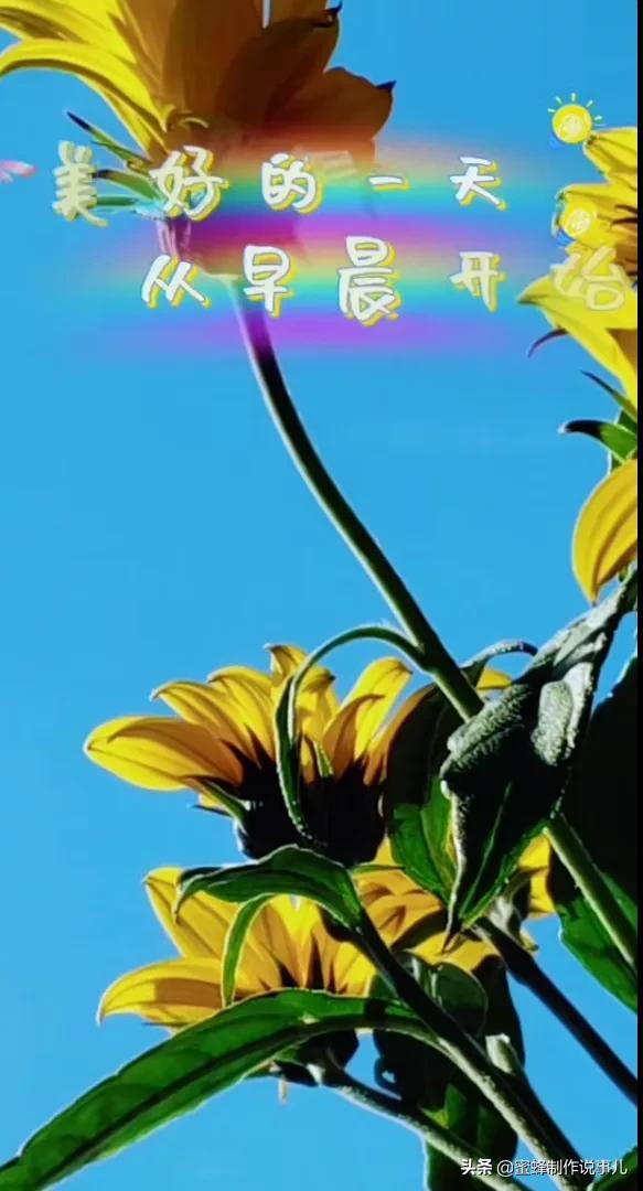 一路鲜花相伴,一路芬芳相随