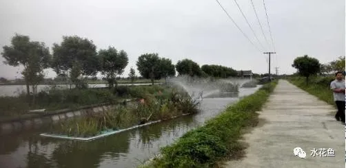 水产养殖尾水处理——多级人工湿地净水技术