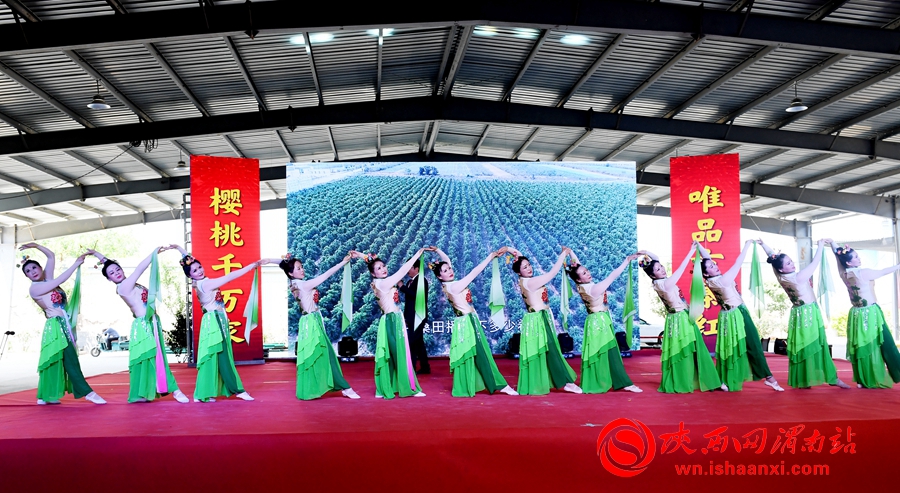櫻桃千萬家 唯品方寨紅 合陽第五屆“方寨紅”櫻桃推介會舉辦（高清組圖）