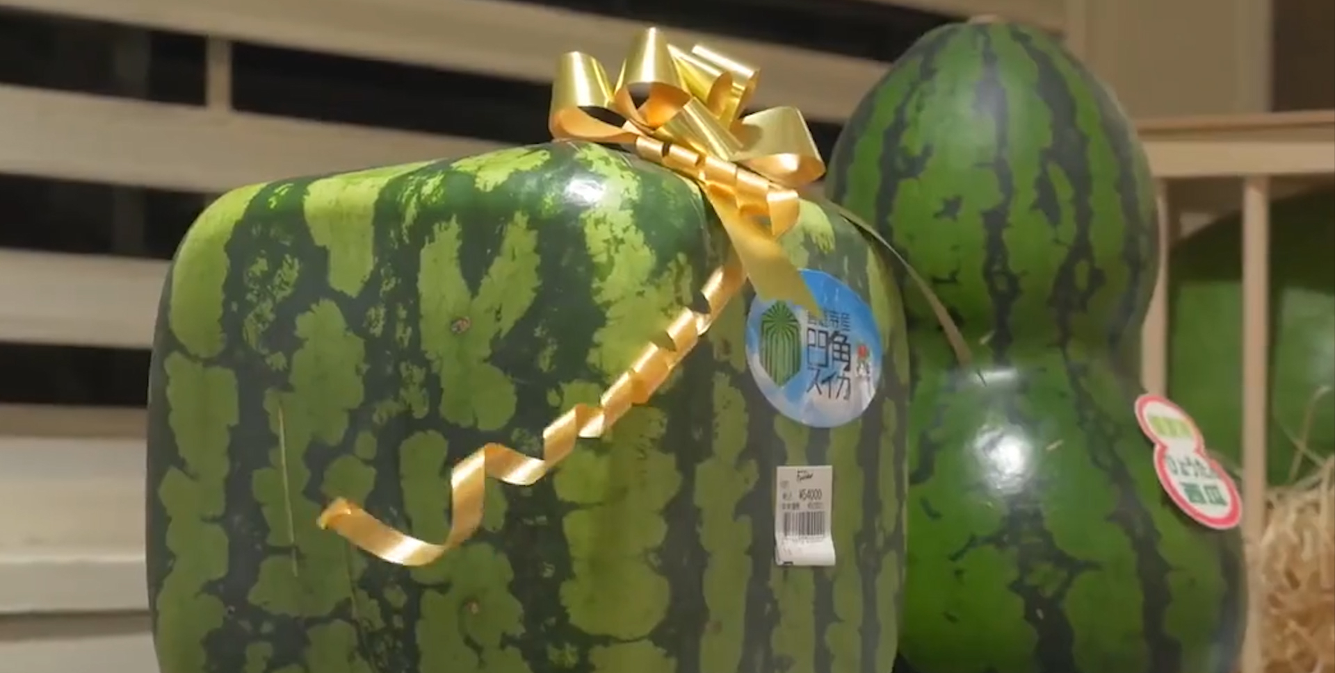 日本西瓜卖出75万元的天价日本天价西瓜几十万