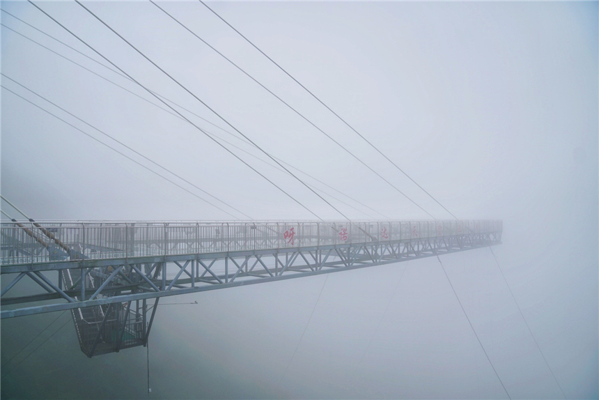自驾海南，探寻雨林秘境，黎族村落到茶园深处，4天3晚游玩全攻略