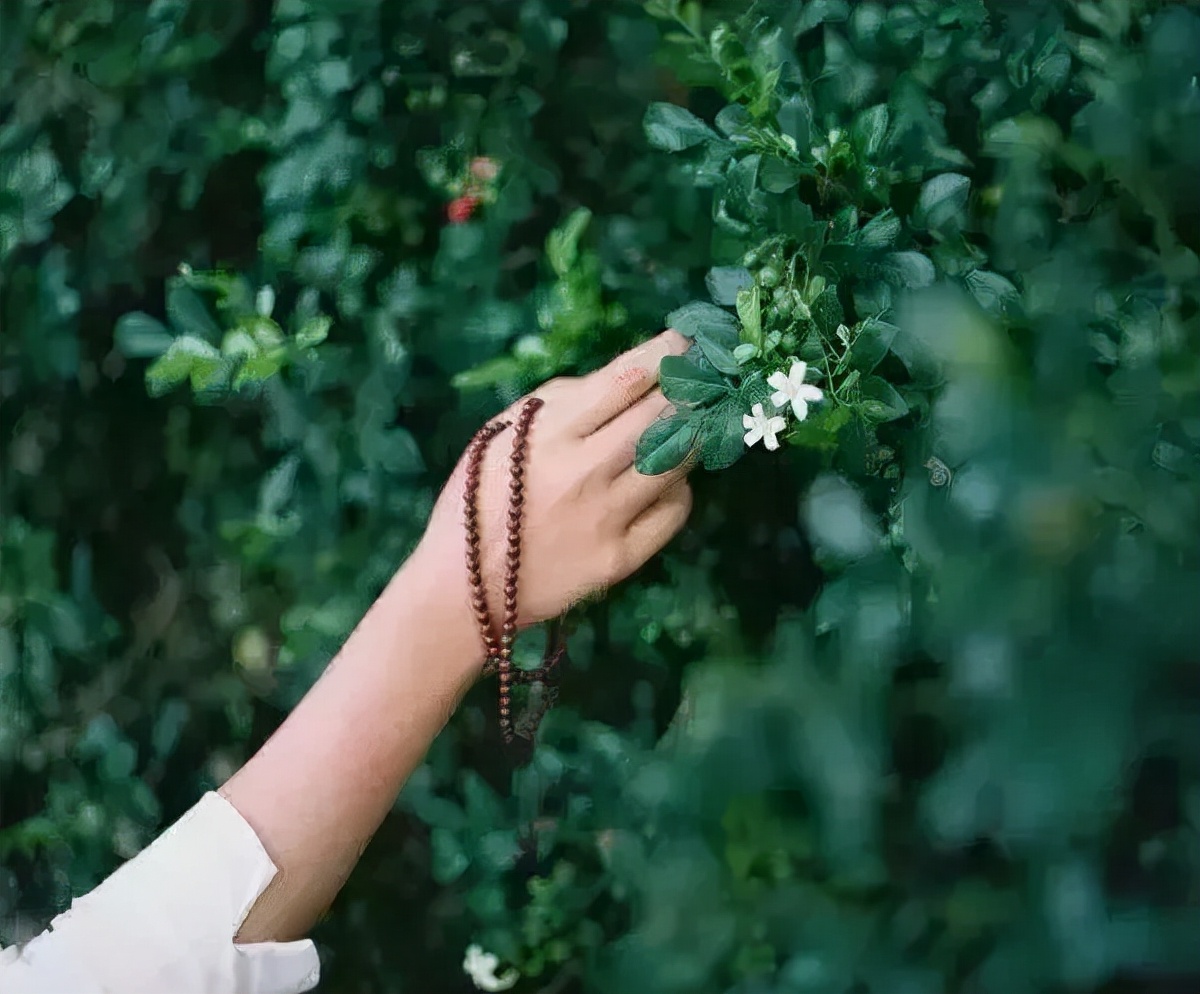 懂你的人和不懂你的人