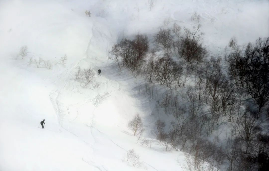 北京乔波室内滑雪场(看冬奥会太上头？再不滑雪就晚了)