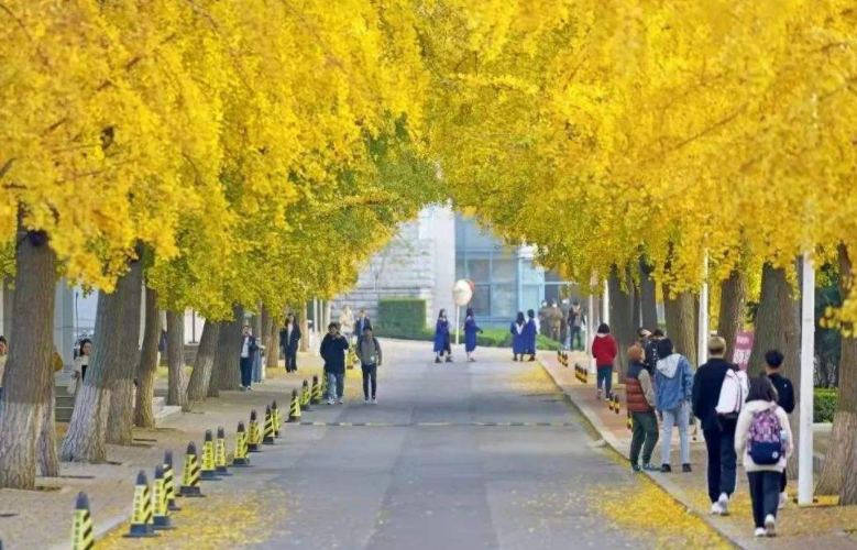 “双非”高校前30名出炉，东北财经挤进前十，深圳大学势头强劲