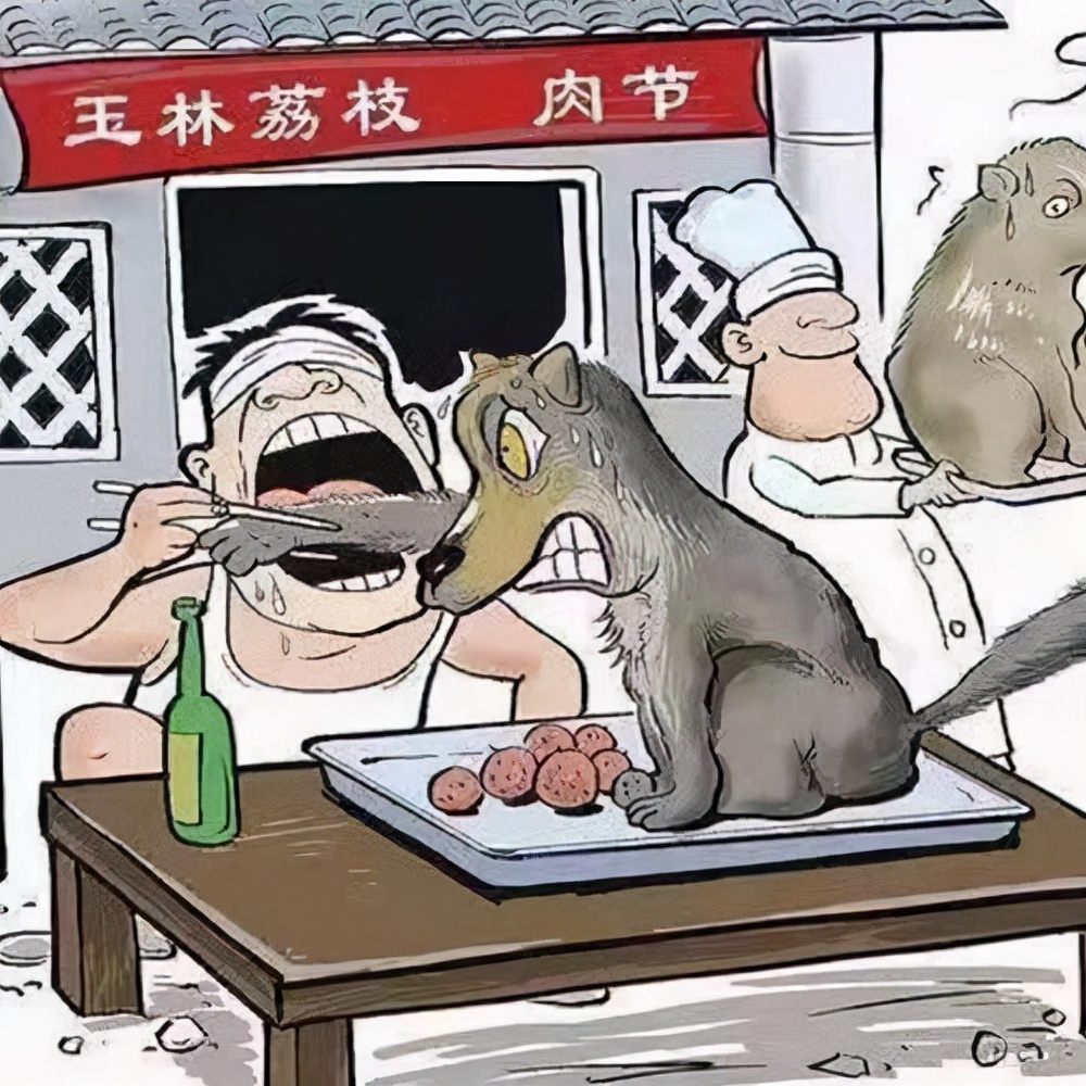 理性讨论,宠物狗流行的今天到底应不应该吃狗肉?