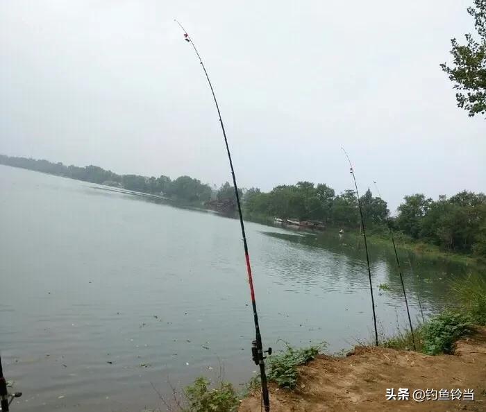 海竿、路亚竿和矶钓竿，这三种竿有什么区别？了解后就不会买错了