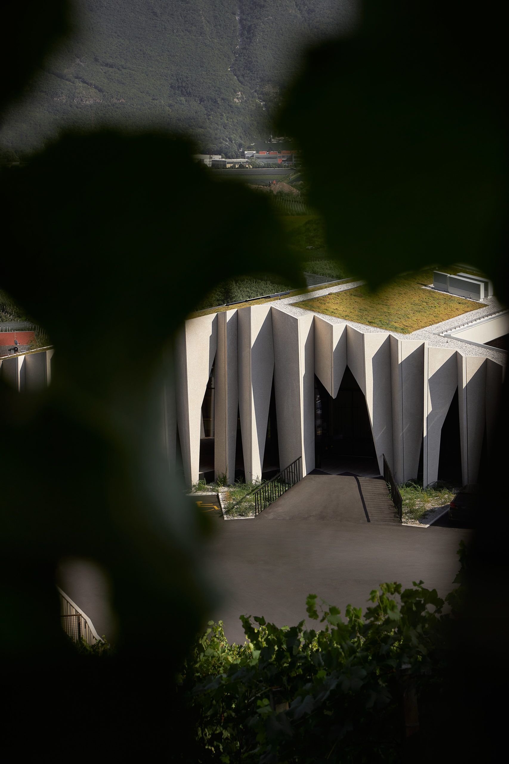 帮助酒香走出酒巷的酒庄建筑