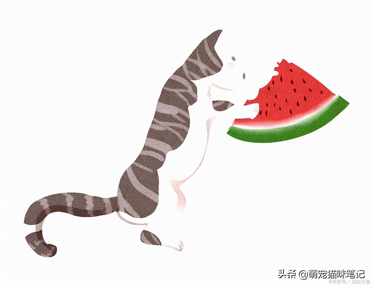 老鼠吃过的食物人食用后的健康风险及猫食对人的影响