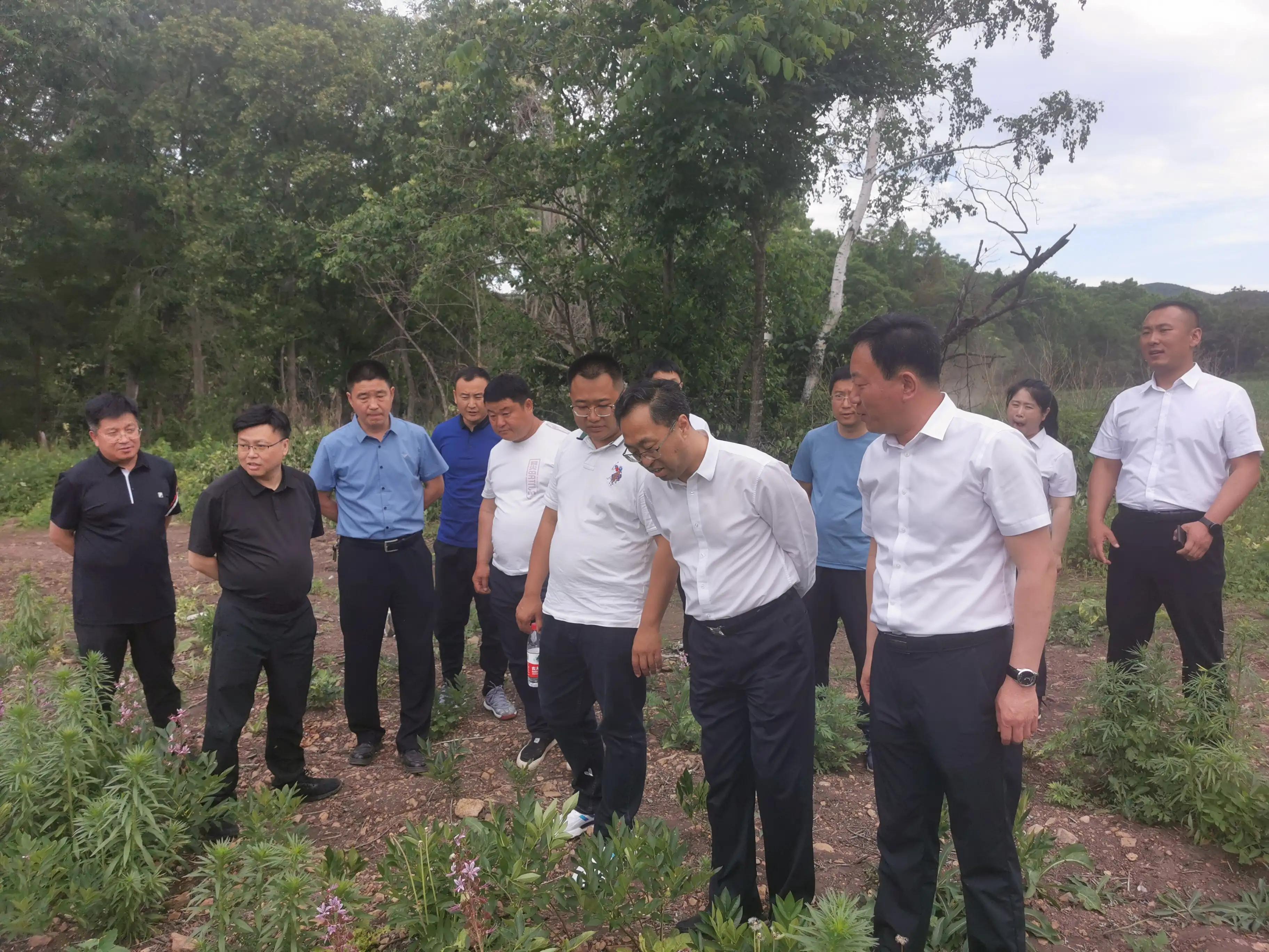 优化体制机制，发挥龙头企业引领示范作用