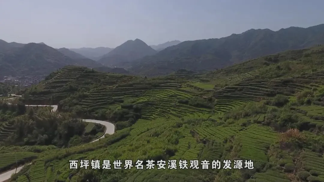买茶看产区,中国十大名茶核心产区盘点