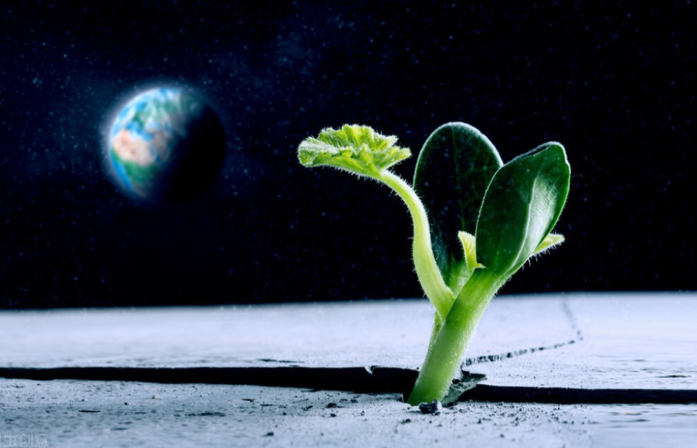 ���Ƕ������Ǻ����70������ʯ����DNA�ɷ֣���������������̫��