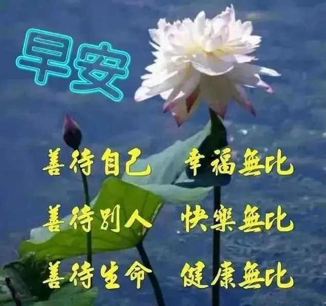 早晨问安：缘份是久久长长的相聚，朋友是生生世世的牵挂，早上好