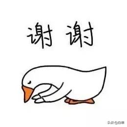 当代大学生网课日常，除了上课还有什么事可以做？摆烂、躺平？