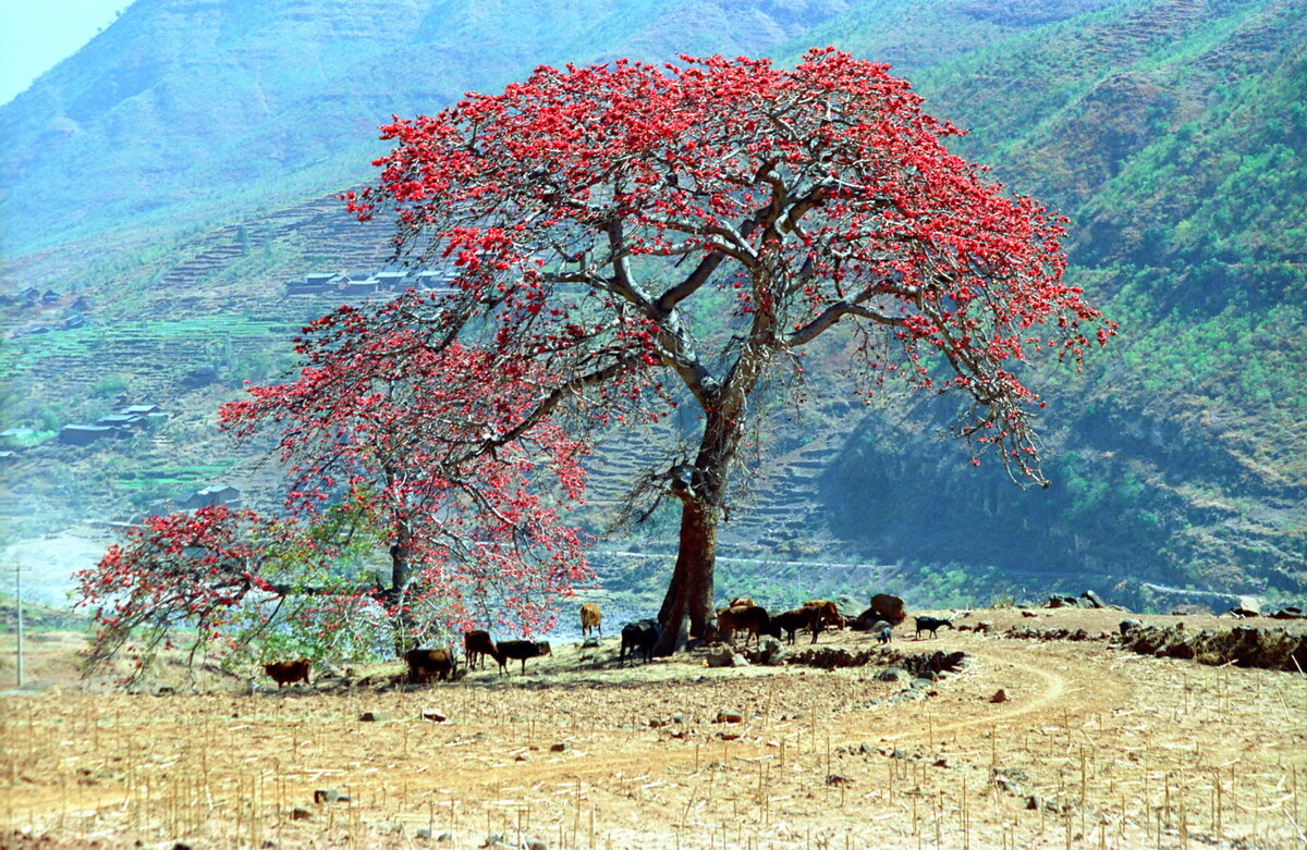 最新2021年四川省各地市GDP排名：成都离两万亿一步之遥