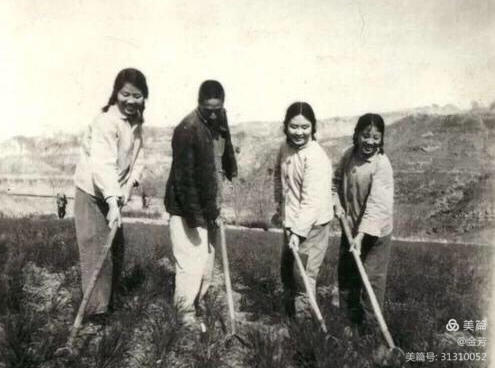 「知青岁月」北大荒真不愧是肥沃的土地