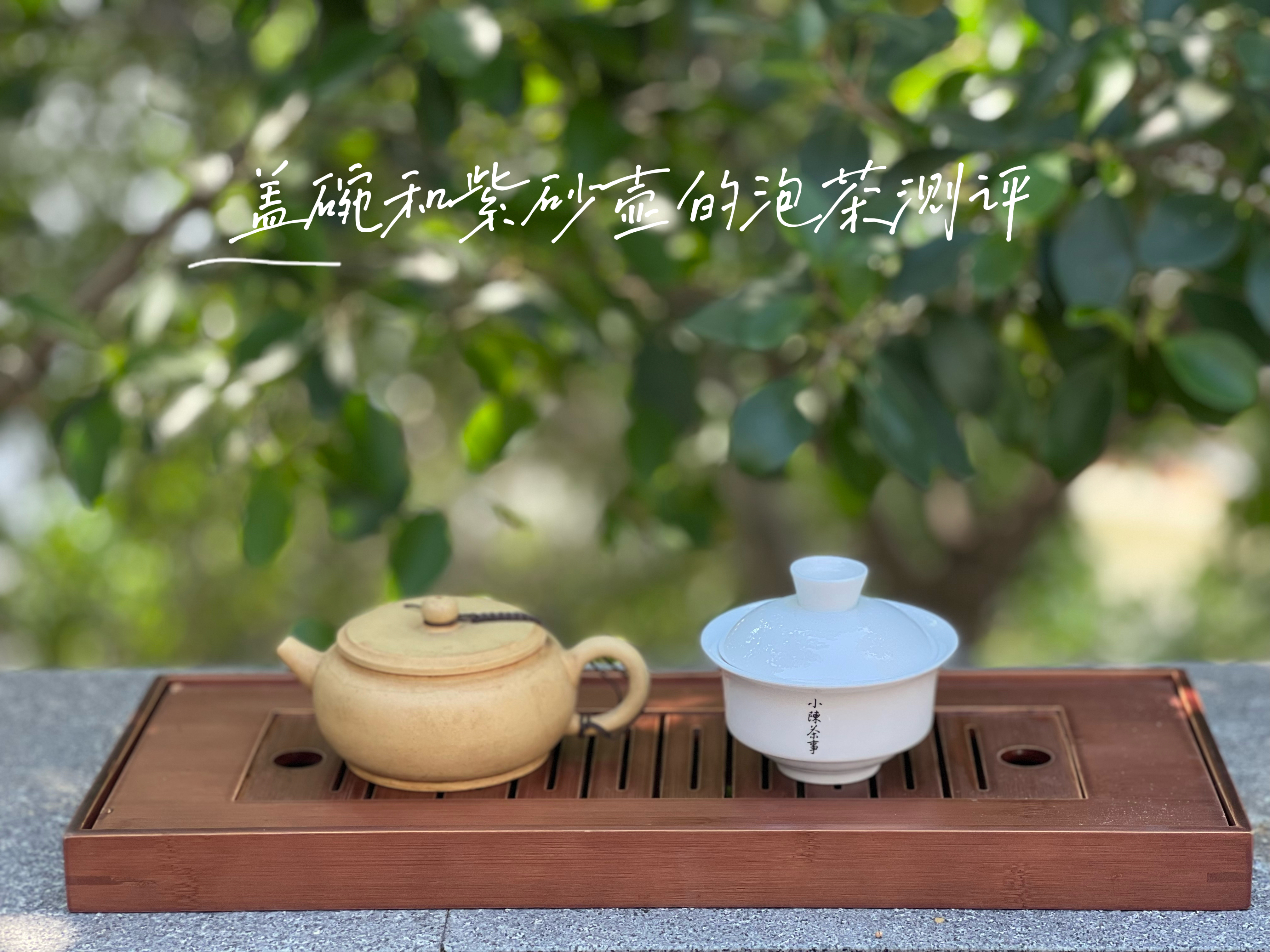 紫砂壶养护指南：10年泡茶经验分享