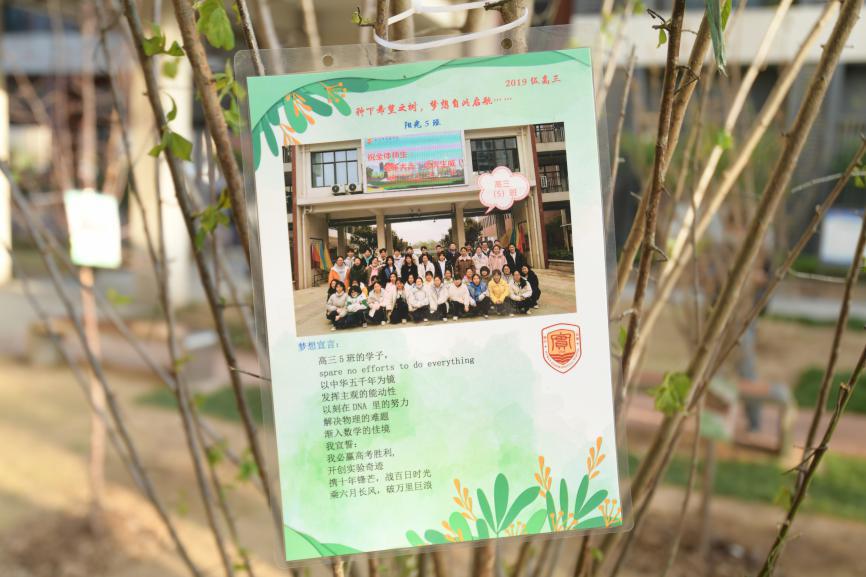 武汉市实验学校“护树节”为绿保驾护航(图4)