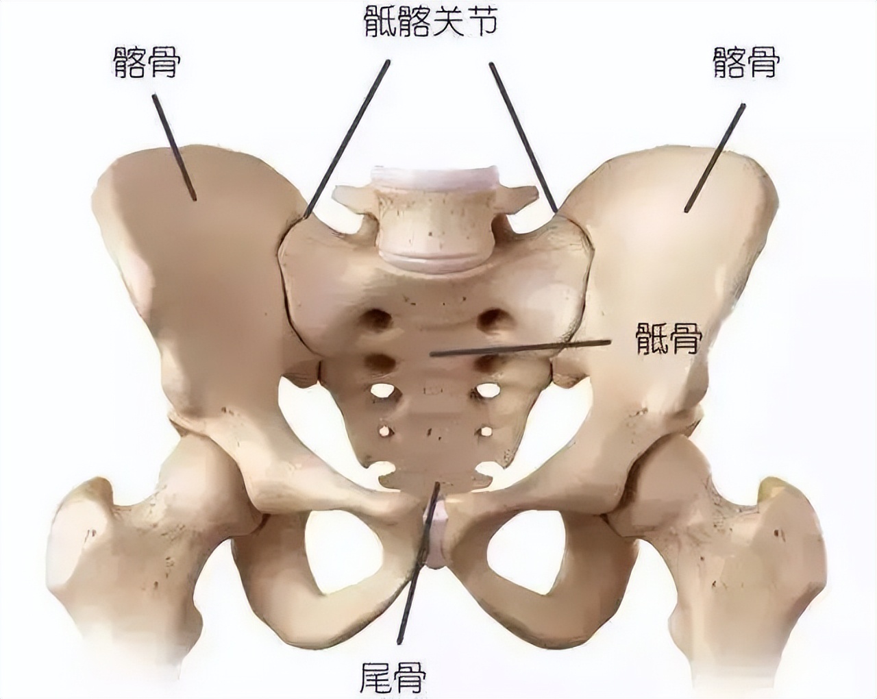 王鸥又有新瓜！与相声演员何九华同框，网友：这是男神收割机啊