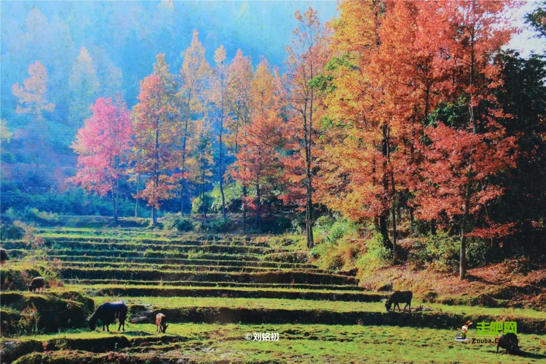 最美的山水风景（广西最美边境小城山水媲美桂林）