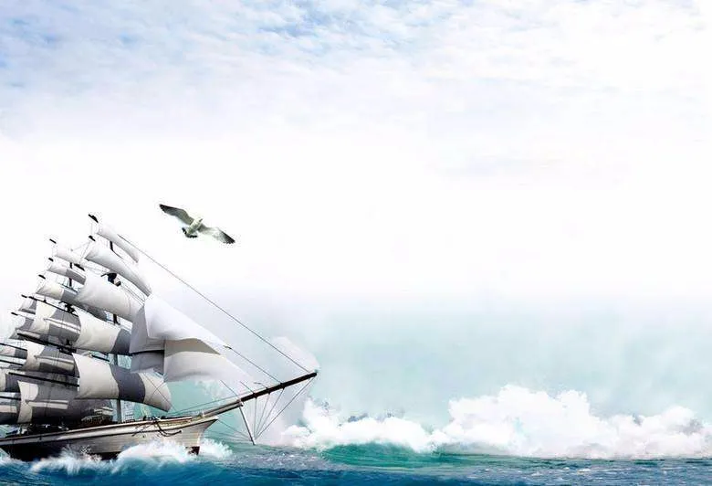 sisi老师年终总结——在逆风中迎风破浪