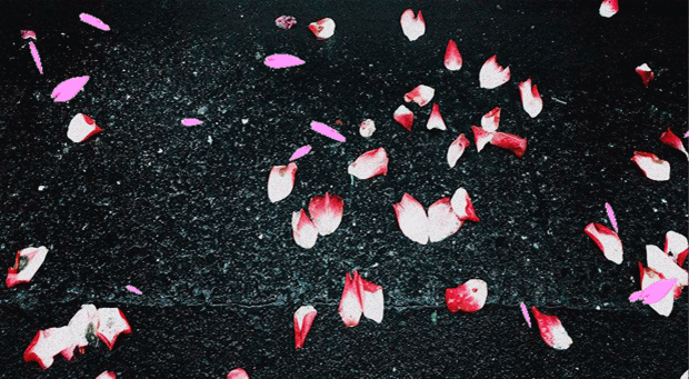 620_341gif 动态图 动图