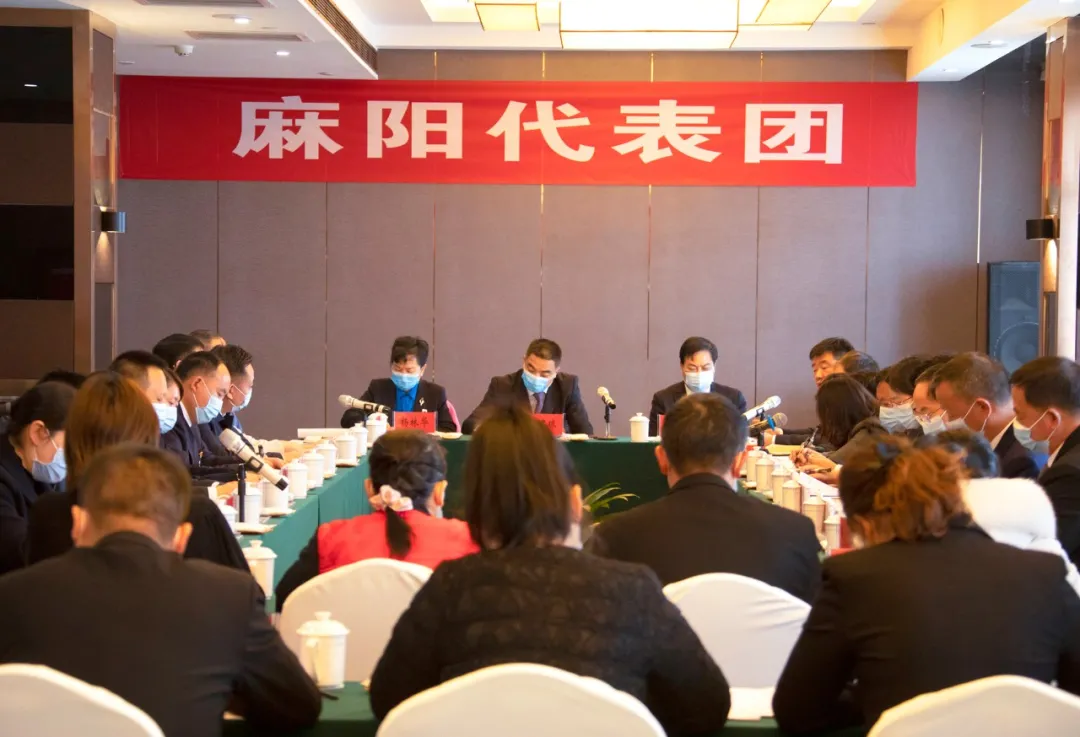 各代表团分组审议政府工作报告