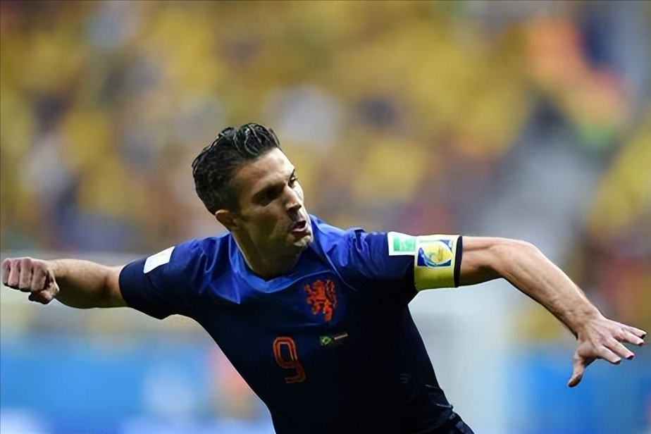 范佩西几个世界杯进球