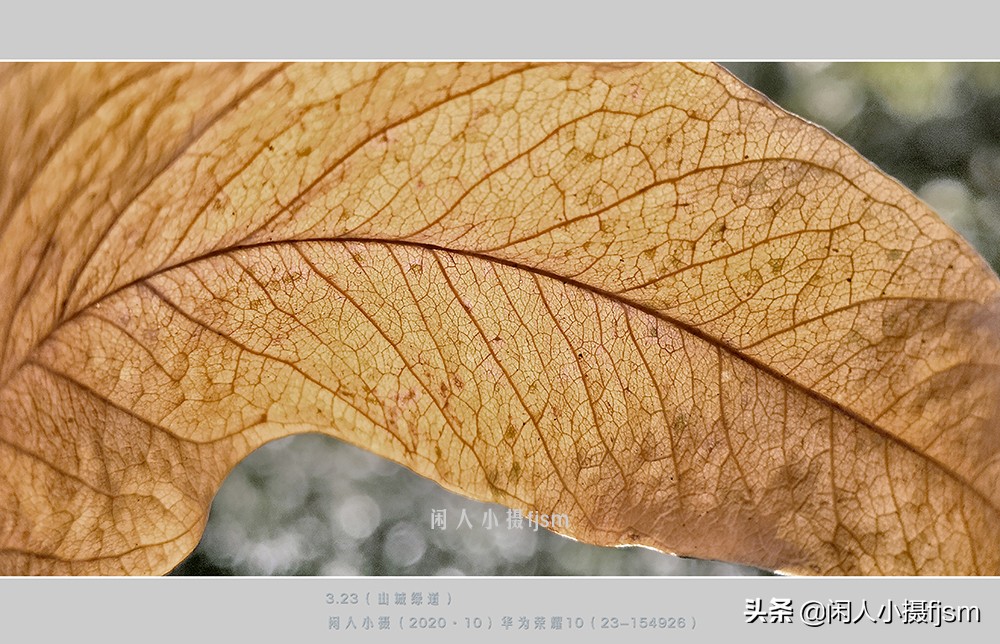 分辨率多少合适图片（修图分辨率多少合适）