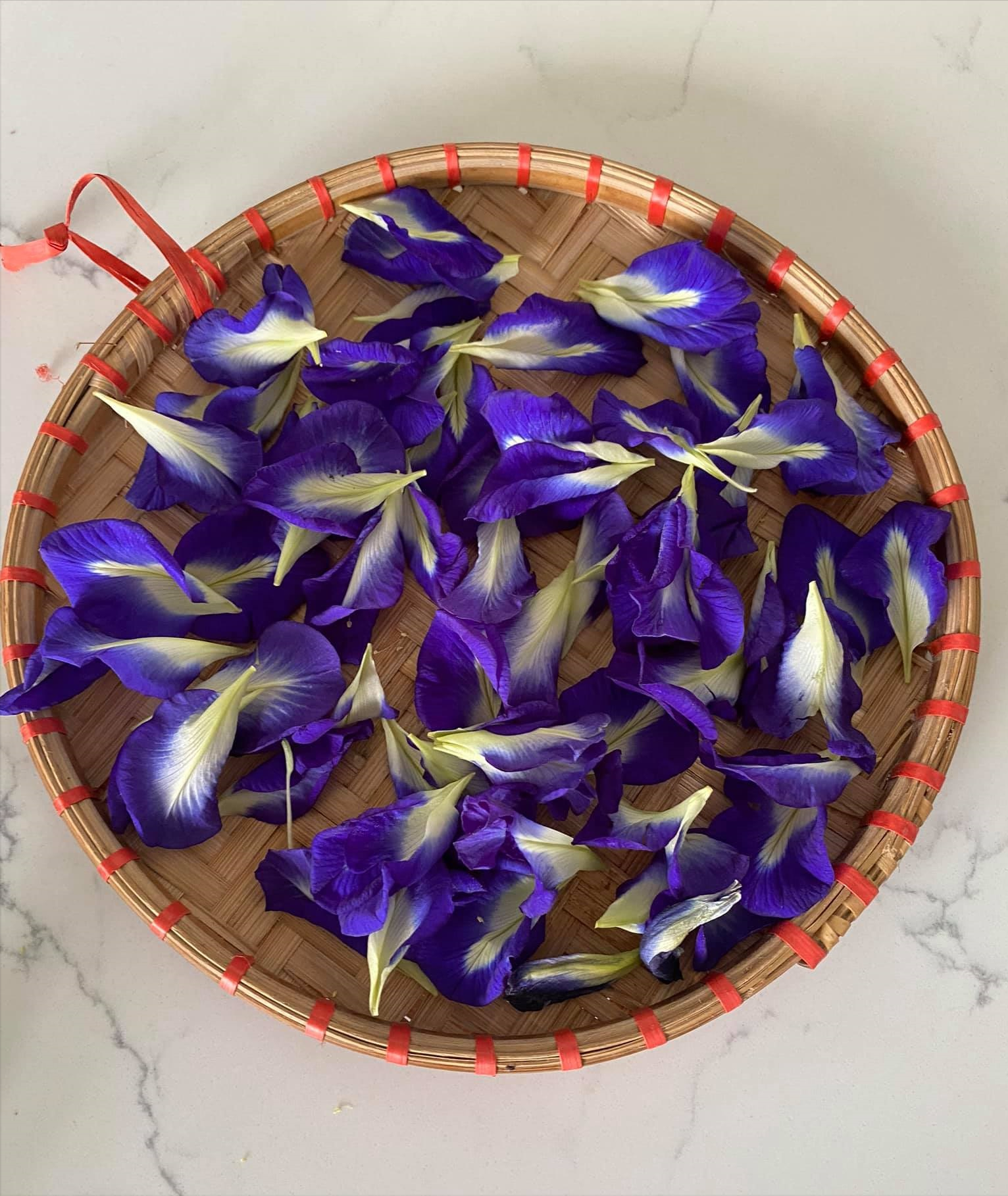 女厂长利用100平方米露台，投资3000块钱，种植了各种干净蔬菜