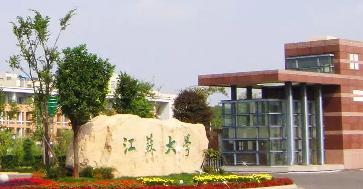 江苏大学美女老师走红网络，不仅人美还懂浪漫，网友：复读考江大