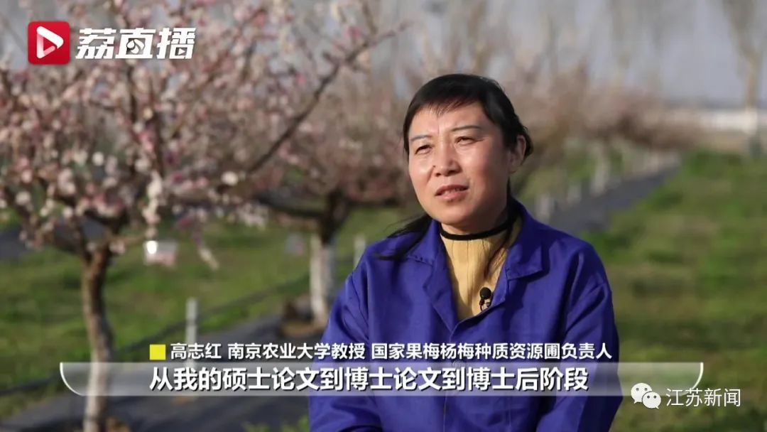 20年坚守三代人奋斗，这群&ldquo;最懂梅花的人&rdquo;，终于开出最美的花